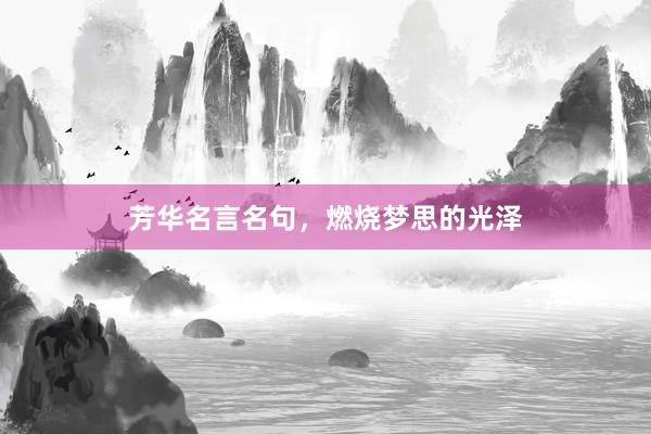 芳华名言名句，燃烧梦思的光泽
